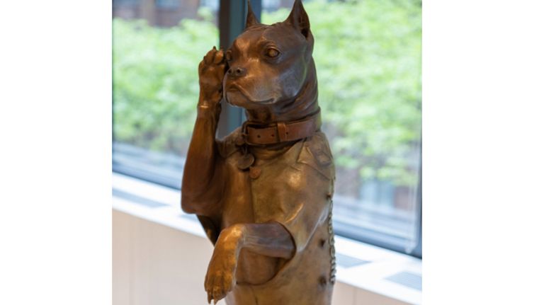 Sgt. Stubby endured mustard gas and shrapnel during his 18 months in combat during WWI.