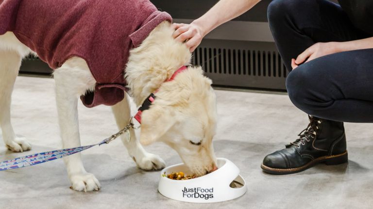 Petco Union Square's dog food kitchen serving meals with 'whole food ingredients' 3 JustFoodForDogs specializes in nutritious pet food.