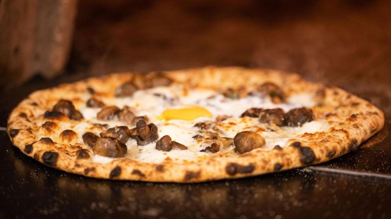 What to do and eat in Downtown Brooklyn 4 Circa Brewing Co., 141 Lawrence St., is known for its pizzas, and during brunch you can order a brunchified pie like the Shrom, topped with wild mushrooms, mozzarella, smoked idiazabal cheese and an egg.