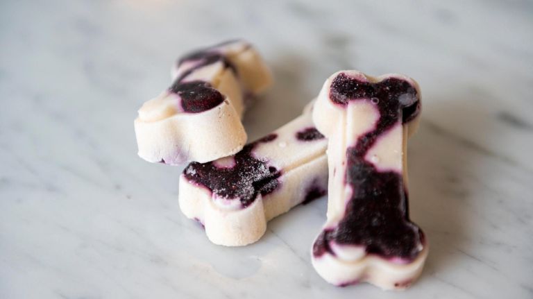 The Scoop: How Davey's Ice Cream founder designs his treats 4 Dog treats made from Greek yogurt, blueberries, banana, peanut butter and honey.