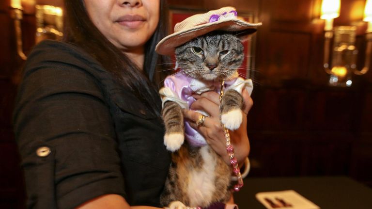 Sakie, in her "Purring '20s" best, is runway-ready on Aug. 2, 2018.&nbsp;