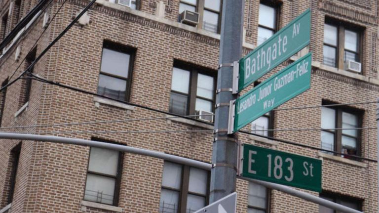 Bathgate Avenue in the Bronx was co-named "Lesandro Junior&nbsp;Guzman-Feliz Way" in February.