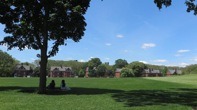 Governors Island features tons of wide-open space for play and relaxation.