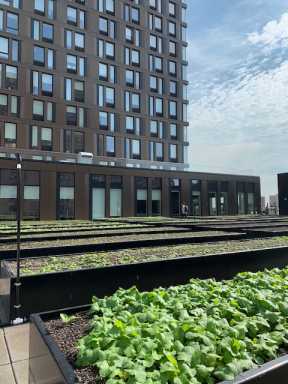 (Delancey Street Associates)
