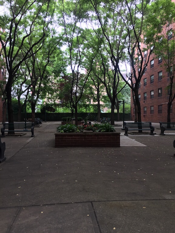 Council O.K.’s housing on Eliz. St. Garden as Johnson brokers ‘courtyard deal’ 1