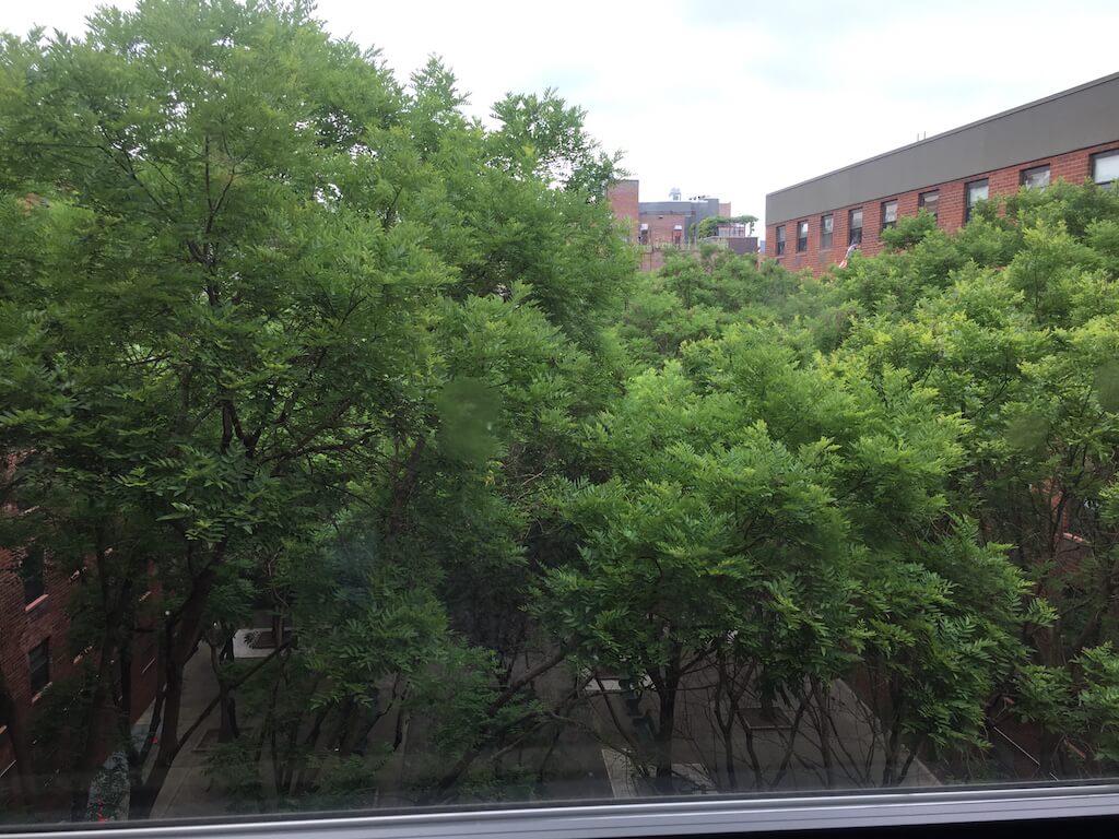 Council O.K.’s housing on Eliz. St. Garden as Johnson brokers ‘courtyard deal’ 2