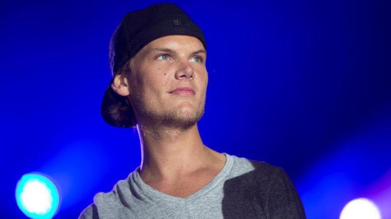 Avicii performs&nbsp;at AFTEE's Nile Rodgers Dance Party on Aug.19, 2013, at Martha Clara Vineyard in Riverhead.