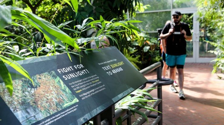 Brooklyn Botanic Garden S Fight For Sunlight Protests Crown