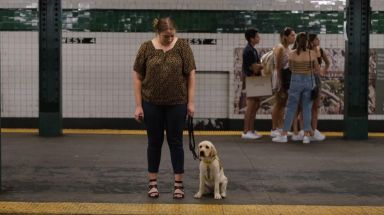 Gil’s Journey: Guide Dog Gil takes his first ride on the NYC subway