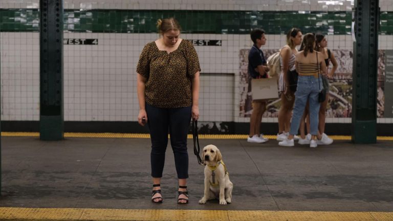 Gil’s Journey: Guide Dog Gil takes his first ride on the NYC subway