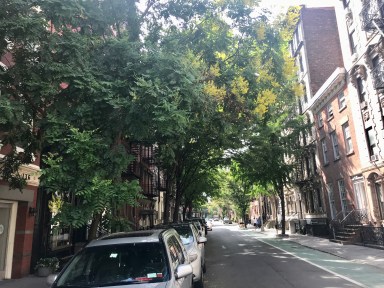 A tree lined street on W 10 St in the West Village Photo by Gabe Herman