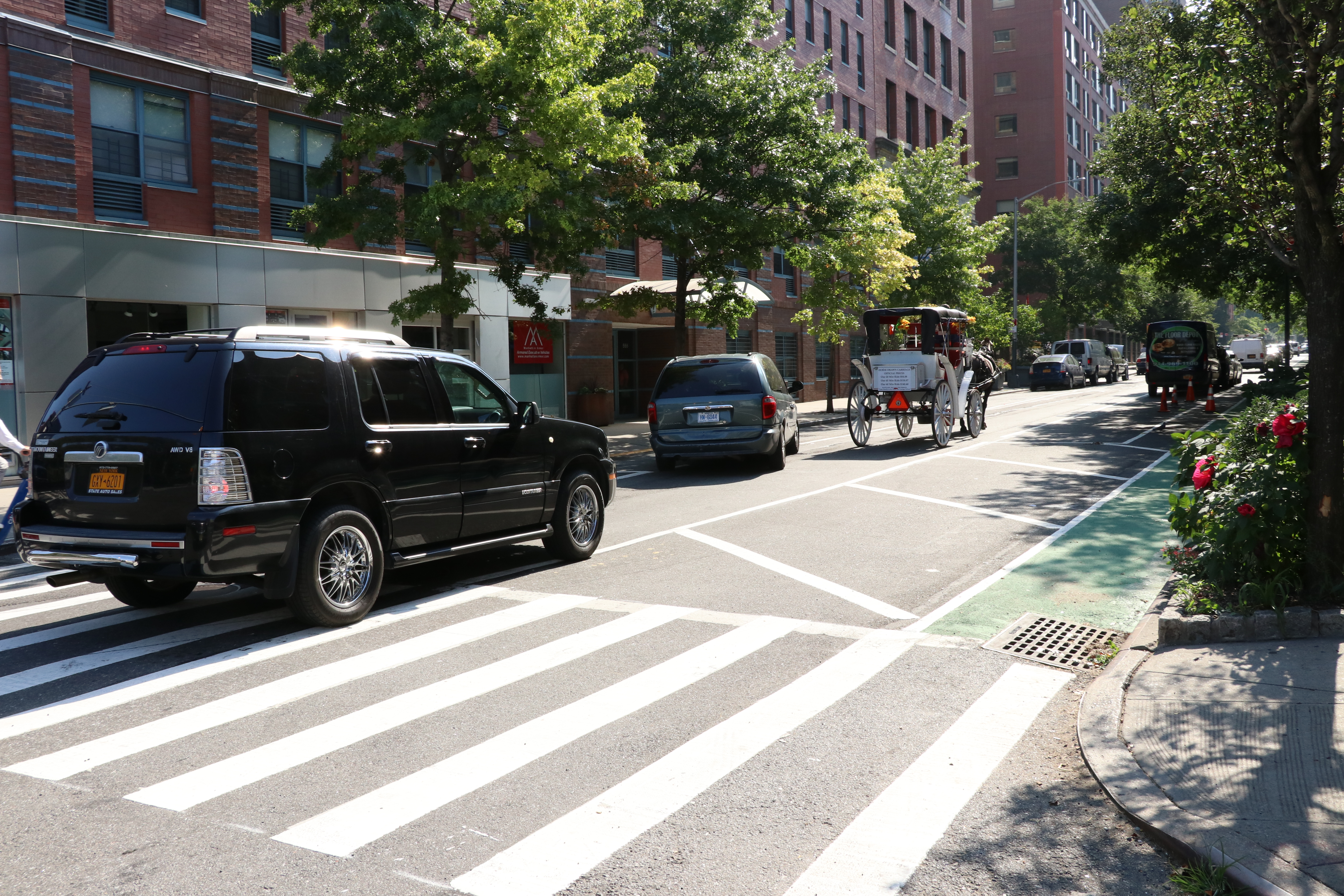 Neigh! Carriage drivers concerned about 52nd St. bike lane 2