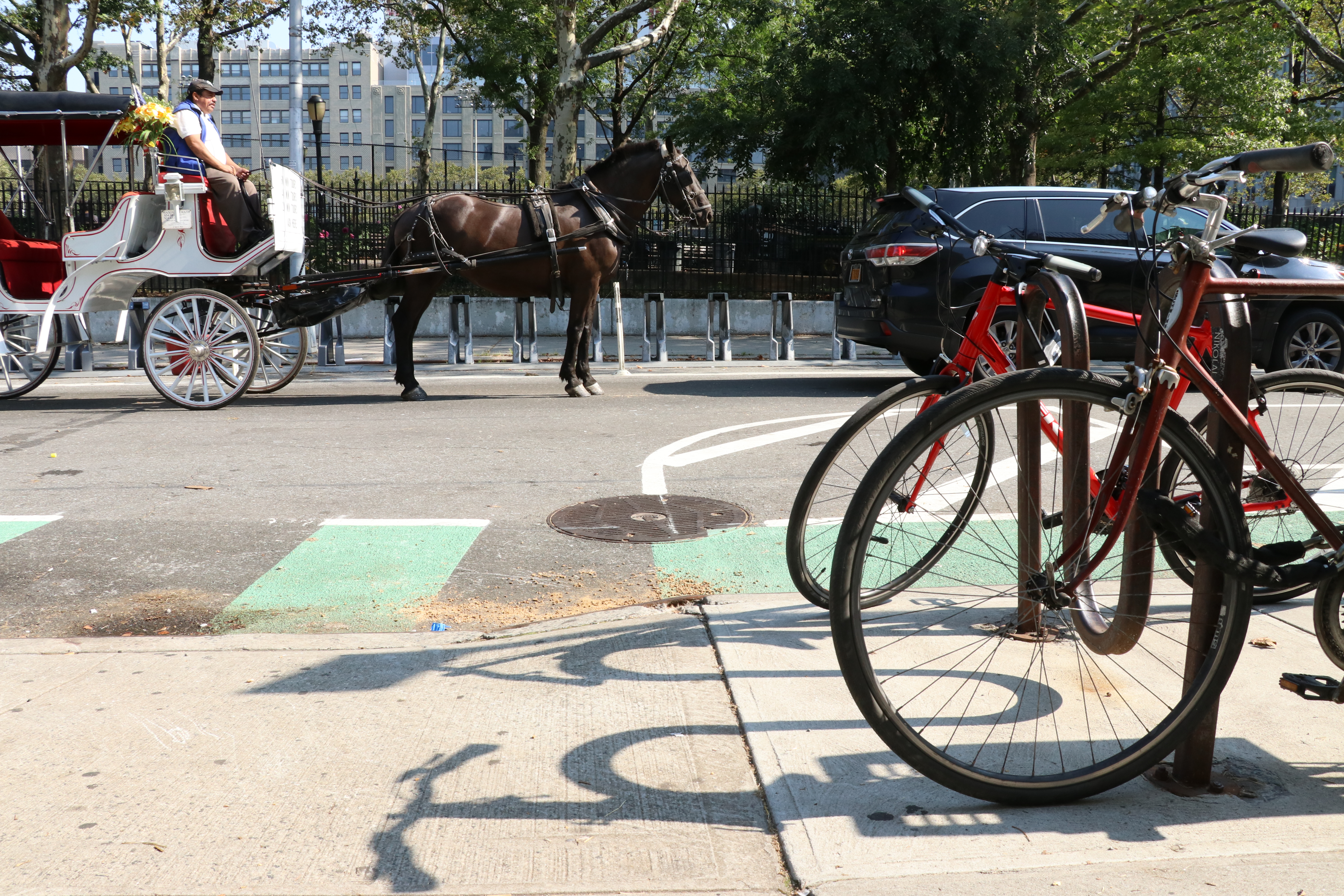 Neigh! Carriage drivers concerned about 52nd St. bike lane 1