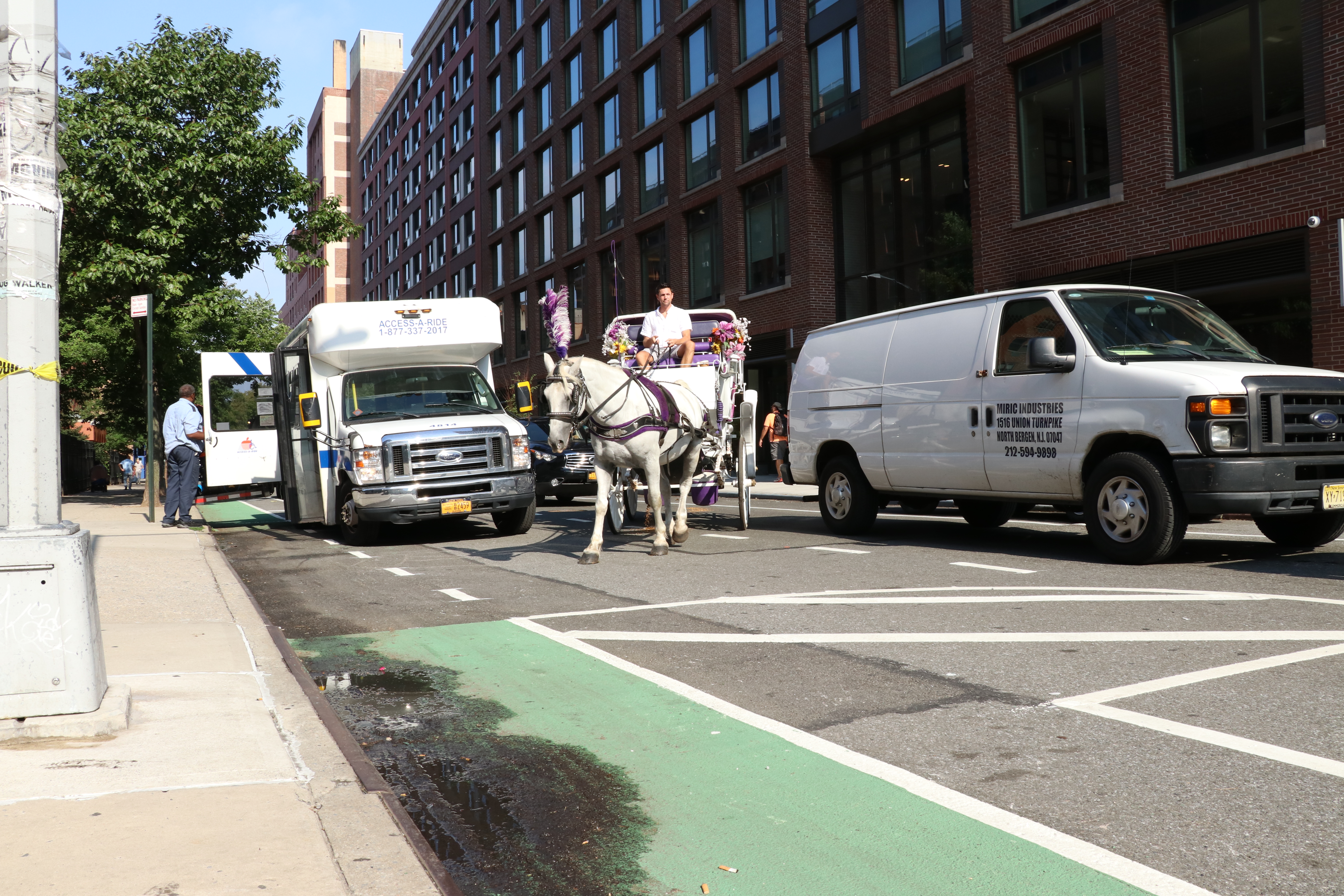 Neigh! Carriage drivers concerned about 52nd St. bike lane 3
