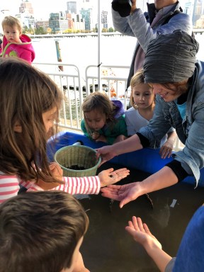 Intern with children at touch tank (Courtesy The River Project)