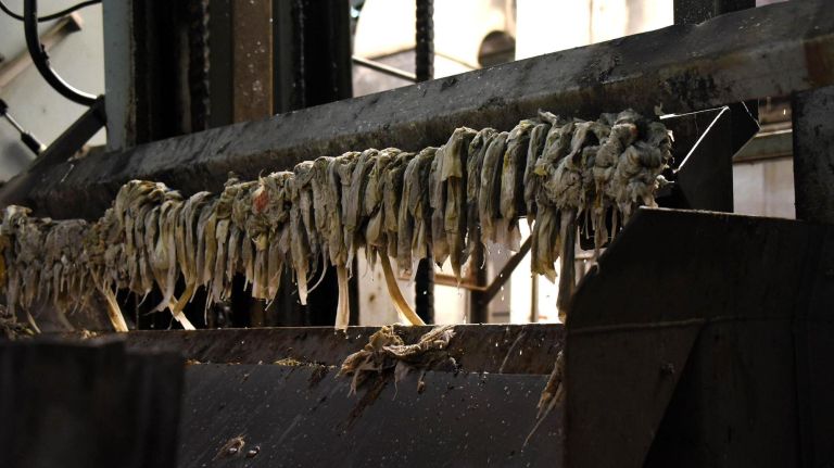 Wipes and other items that should not be flushed are removed from sewage in the first phase of the wastewater treatment process at the Newtown Creek Wastewater Treatment Plant in Brooklyn on April 24.