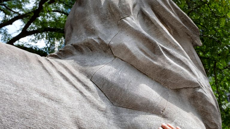 Library lions Patience and Fortitude to get $250G restoration 3 The $250,000 project is set to start the week of Sept. 2 and will last about nine weeks.