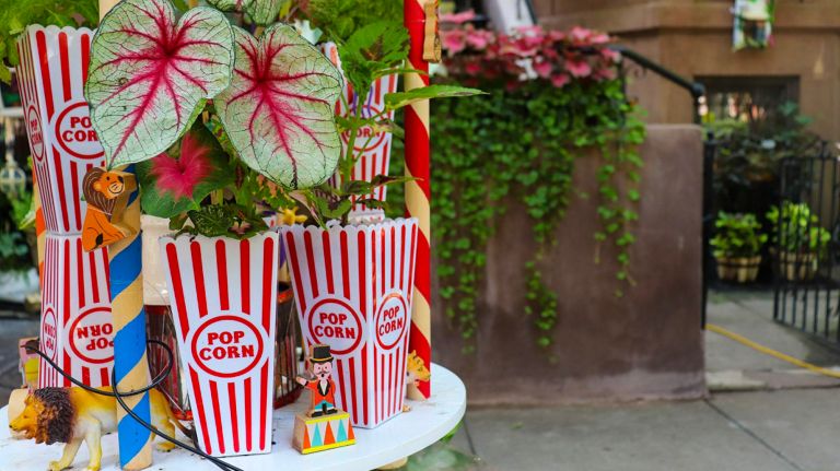 Brooklyn's greenest block is in Crown Heights 4 The winning block stretches along Lincoln Place from Nostrand Avenue to New York Avenue.