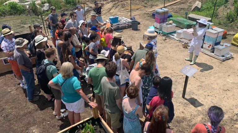 NYC is abuzz with activities to celebrate National Honeybee Day 3 The Honeybee Conservancy and The Bee Project are teaming up to host an afternoon about the bees for National Honeybee Day on Saturday.