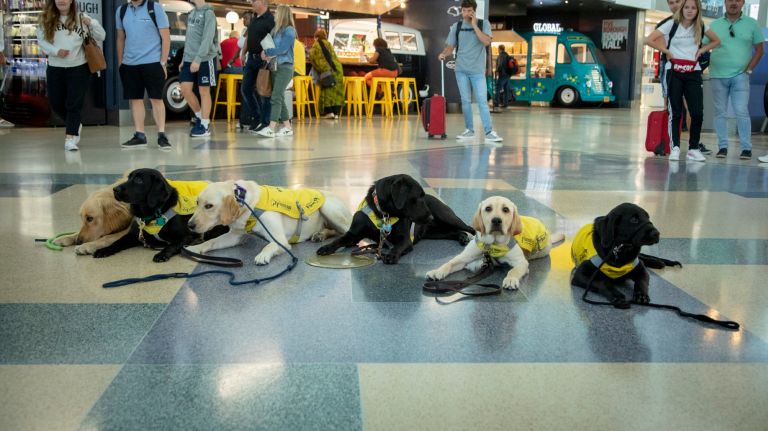 Gil, second to the right,&nbsp;is in training to learn how to assist travelers at JFK.