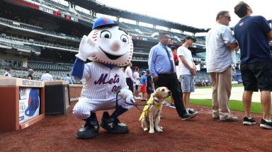 Gil’s Journey: Guide Dog Gil meets Mr. Met at Citi Field
