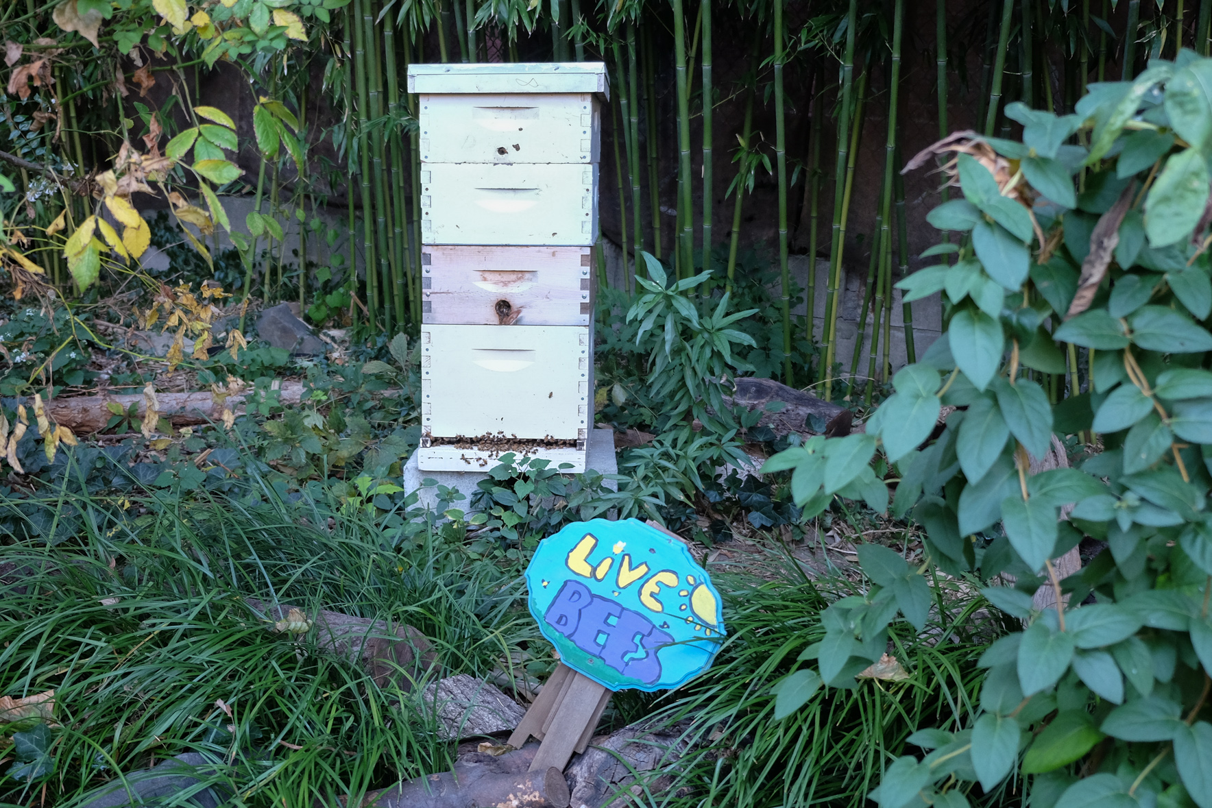 Supporters of two Lower East Side Community Gardens thank donors for keeping greenspaces thriving 5