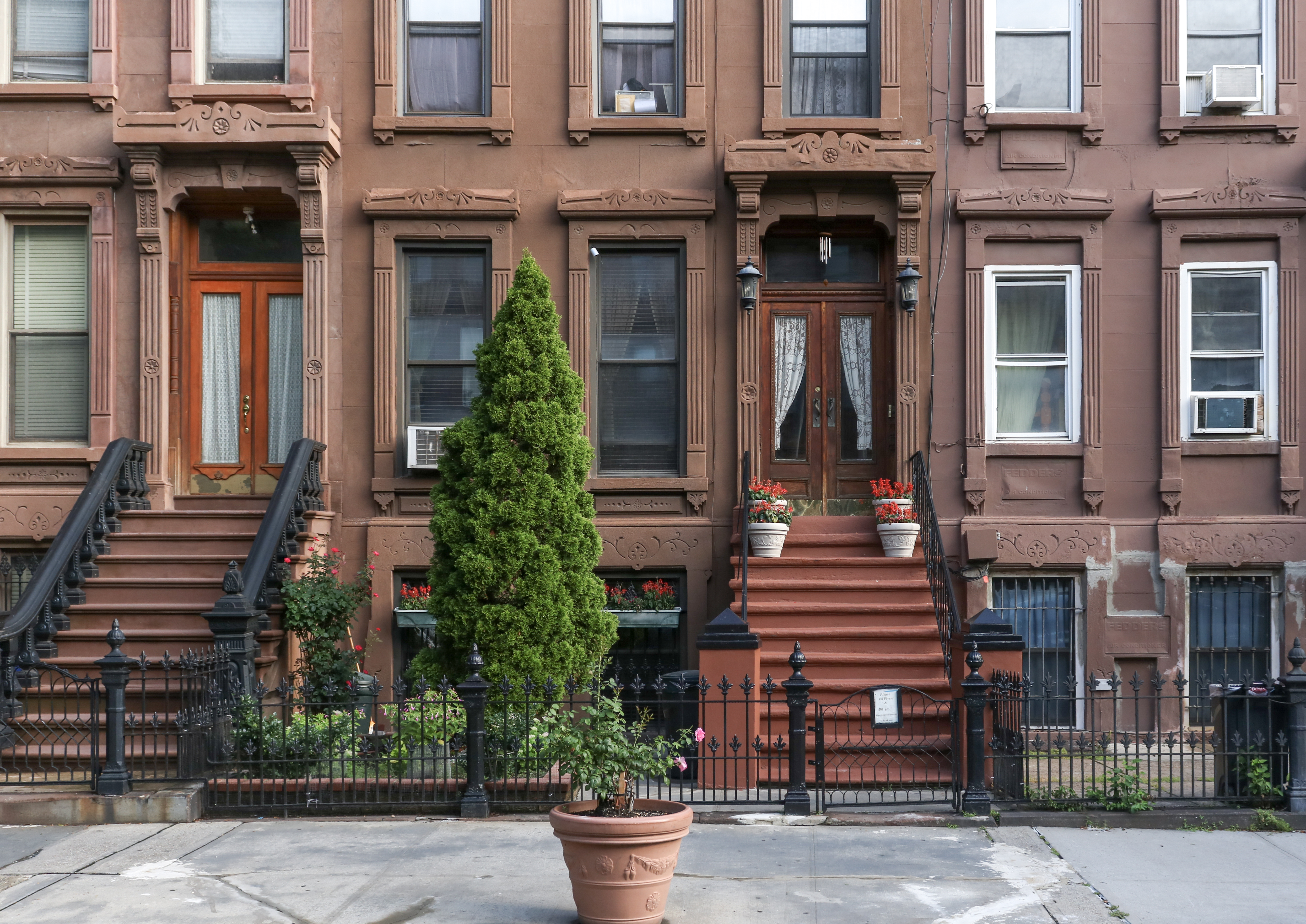 brownstone windows