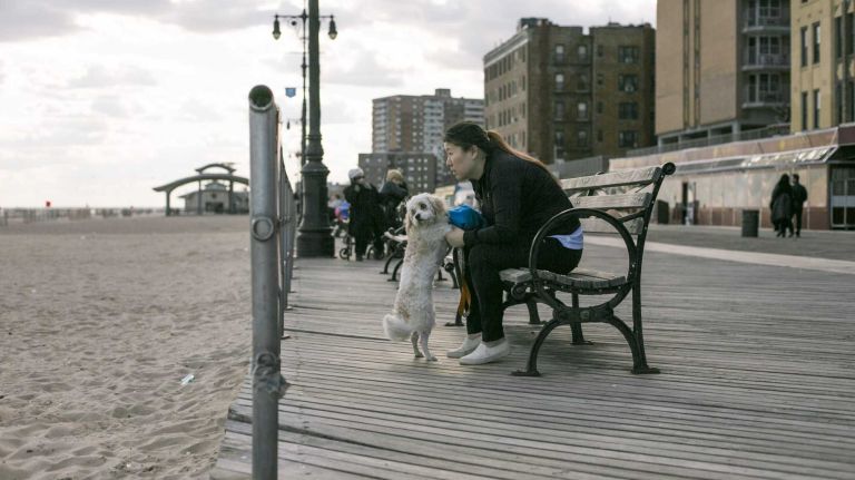 A woman with her dog in Brighton Beach in Brooklyn on April 28, 2015. By Anthony Lanzilote