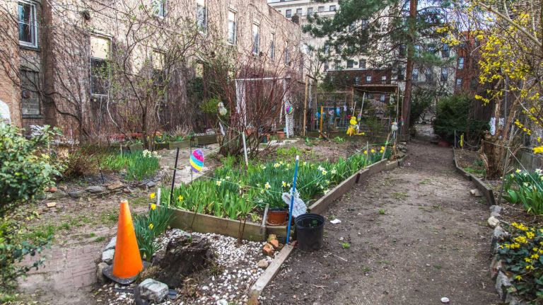 A community garden in the Melrose neighborhood in the Bronx on April 15, 2015. 