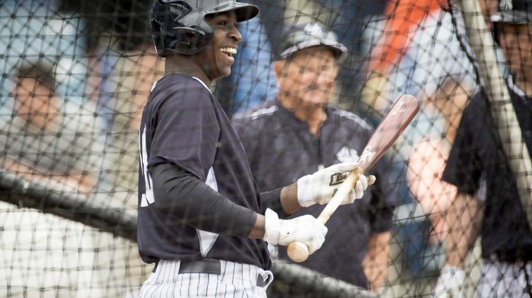 Didi Gregorius 14 Yankees shortstop Didi Gregorius takes batting practice at George Steinbrenner Field on his first day of Spring Training in Tampa, Fla. Feb. 26, 2015.