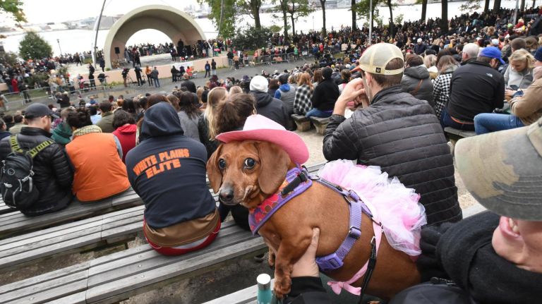 All dogs are welcome to participate in the Tompkins Square Halloween Dog Parade.