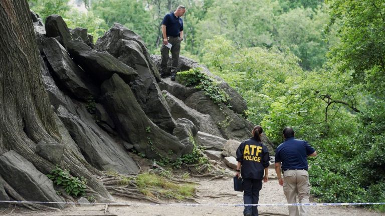 The NYPD released a photo on the two-year anniversary of the  Central Park explosion. 