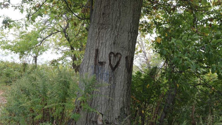 A message carved on a tree along a pathway in Conference House Park in Tottenville.
