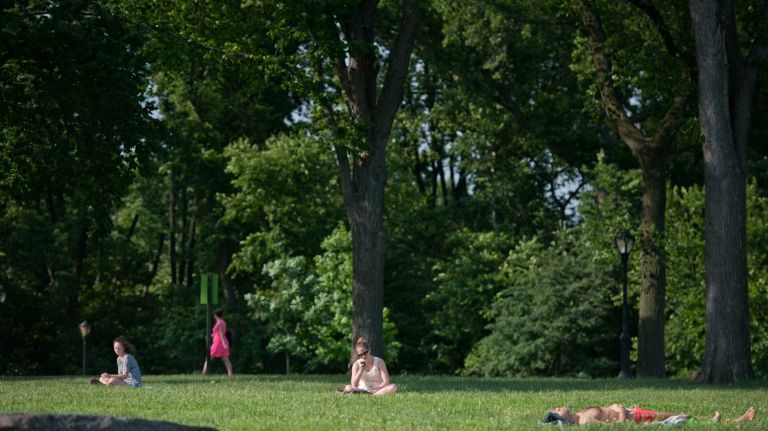 Great Hill has a perfect — and frequently uncrowded — open meadow for picnicking and hanging out. (May 29, 2012)
