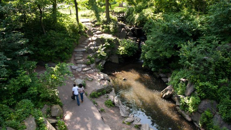 Just below the main park roadway is a small, secluded waterfall, which descends to the Glen Span Arch. (May 29, 2012)