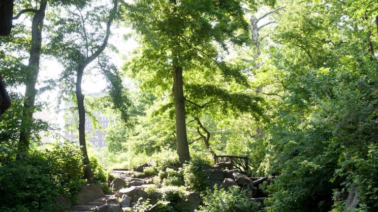 Glen Span Arch nicely represents the Victorian era during which Central Park was founded. (May 29, 2012)