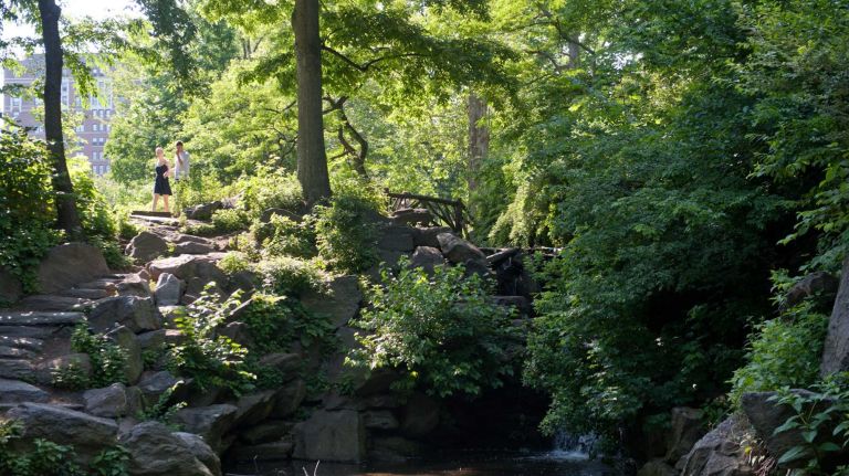 Just below the main park roadway is a small, secluded waterfall, which descends to the Glen Span Arch. (May 29, 2012)