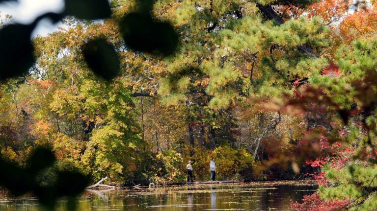 Spectacular autumn colors light up Connetquot River State Park in Oakdale.