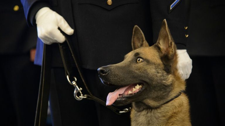 NYPD Transit Bureau Police Officer Kaitlin Schamberger holds Zada during a Canine Unit graduation ceremony at the police academy in Queens on Tuesday.