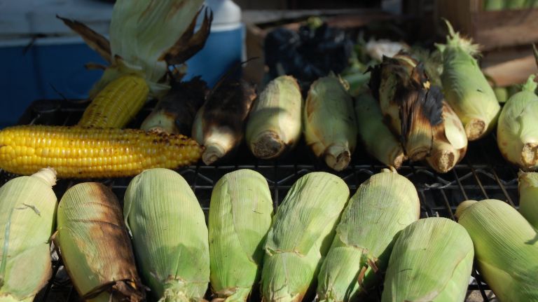 Stands serving grilled chicken are located up and down Eastern Parkway. 