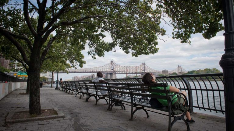 Peter Detmold Park in Midtown East.