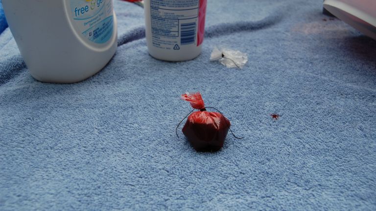 The blood pack is filled with Tide liquid soap, chocolate sauce and red food coloring. 