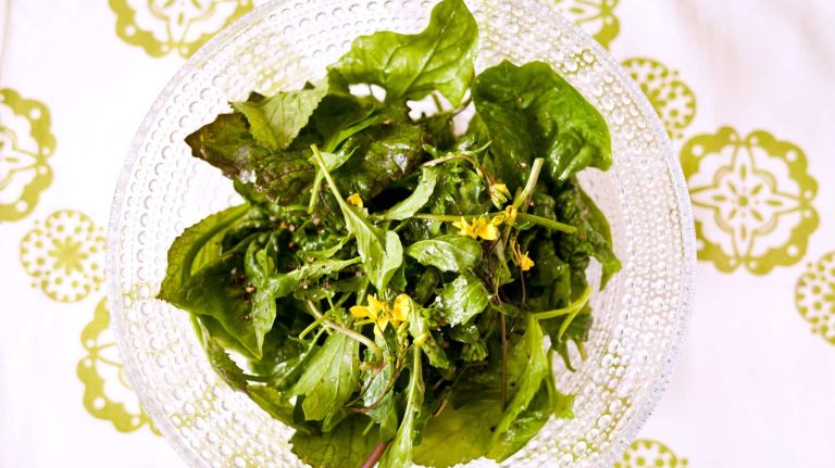 A salad with baby greens at First and South in Greenport.