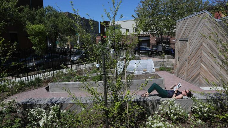 Rebecca Fischman relaxes in Gil Hodges Park at the corner of Carroll Street and Denton Place in Gowanus, Brooklyn, Monday, May 5, 2014. Gowanus is a a neighborhood in transition.