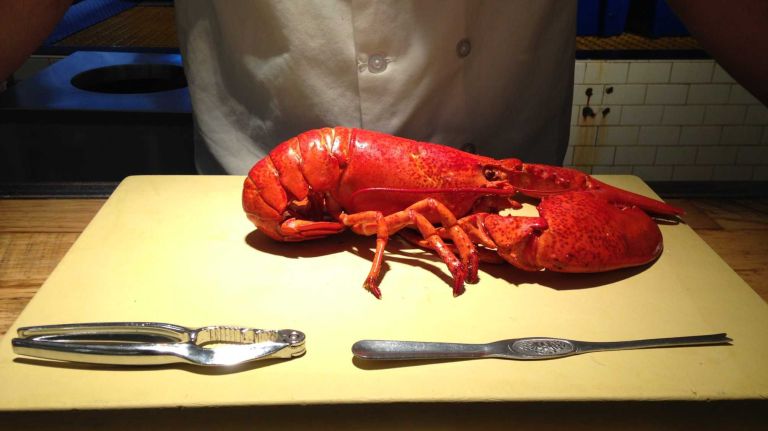 Get ready to break this guy apart.