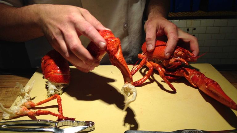 Next, snap the claws and knuckles off from the body.