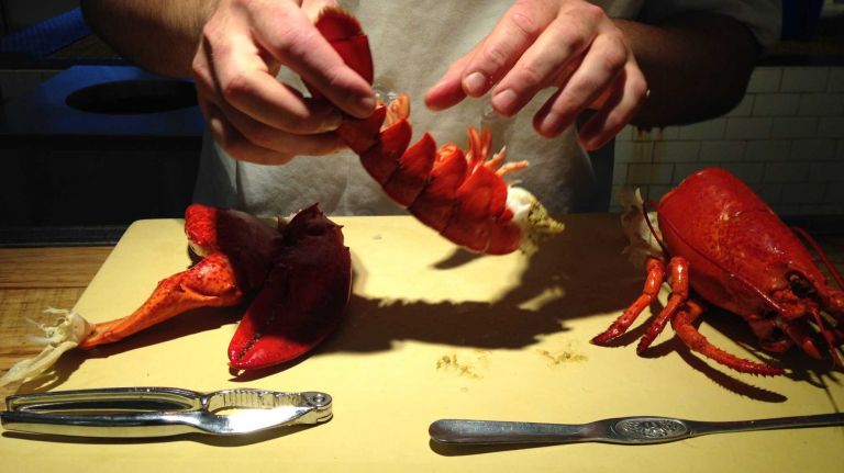 Remove the fin from the tail.