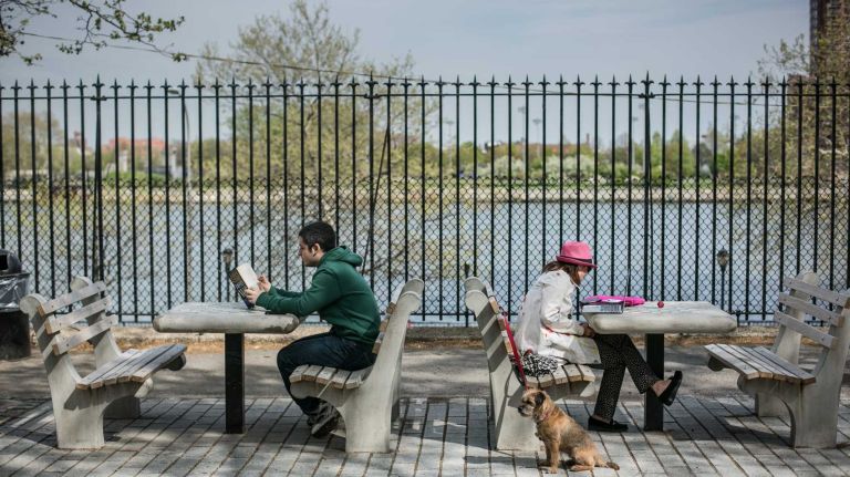 John Jay Park is located east of York Avenue between East 76th and East 78th Streets. 