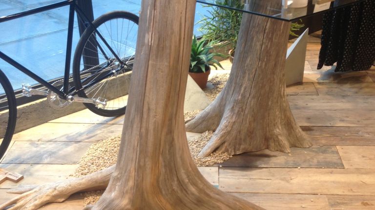 This tree may not be growing in Brooklyn, but it's definitely doing its part to add that earthy cool factor to Space Ninety 8. 