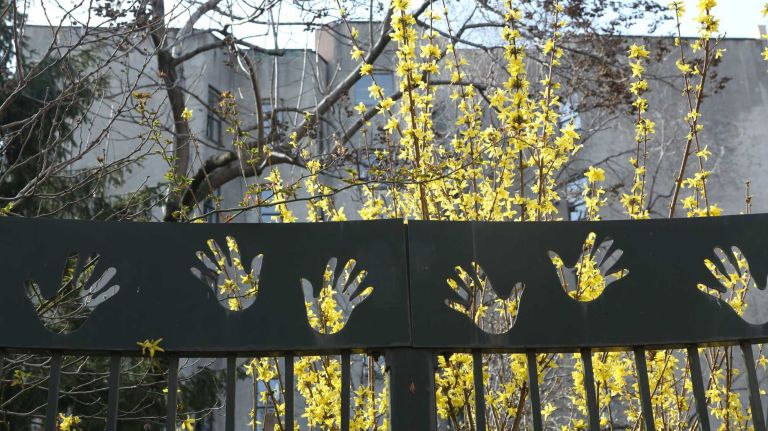 The peripheral fence of the 6th street and Ave. B Community Garden.
